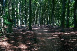 Vasse - Beekzijdeweg 31